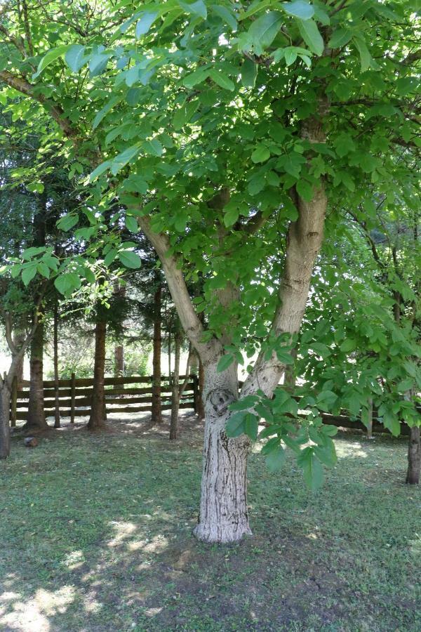 Holiday Home "Iris" Near Plitvice Lakes Rudanovac Exterior photo