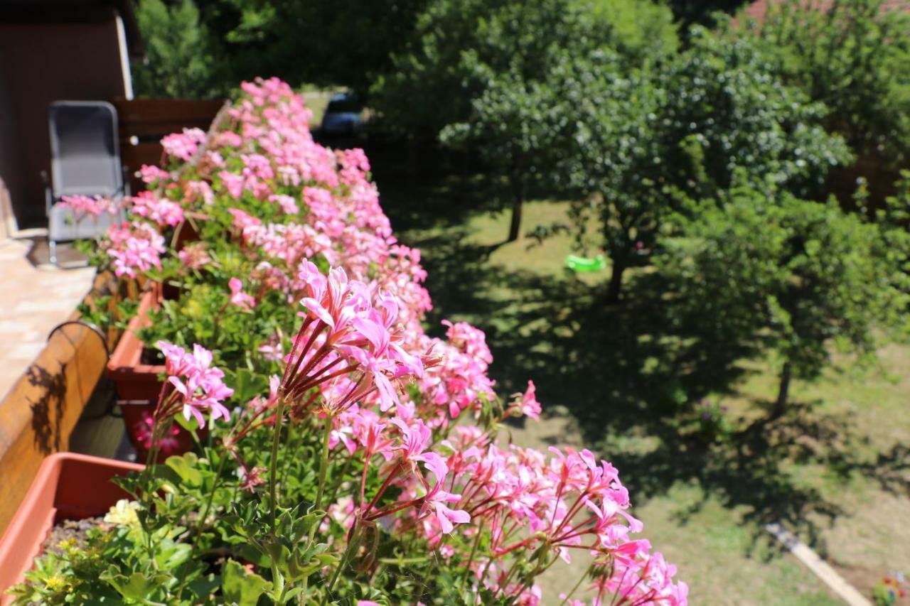 Holiday Home "Iris" Near Plitvice Lakes Rudanovac Exterior photo